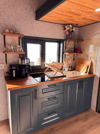 Imagen de la habitación del Sapanca Tiny Home. Foto 13