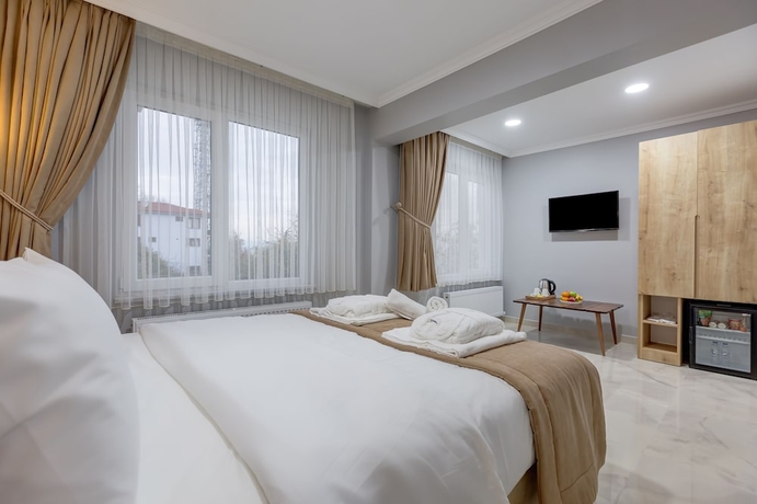 Imagen de la habitación del Sapanca View Hotel. Foto 3