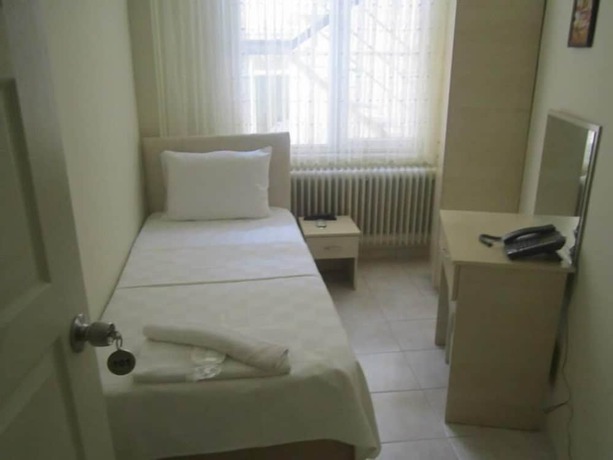 Imagen de la habitación del Saral Hotel. Foto 14