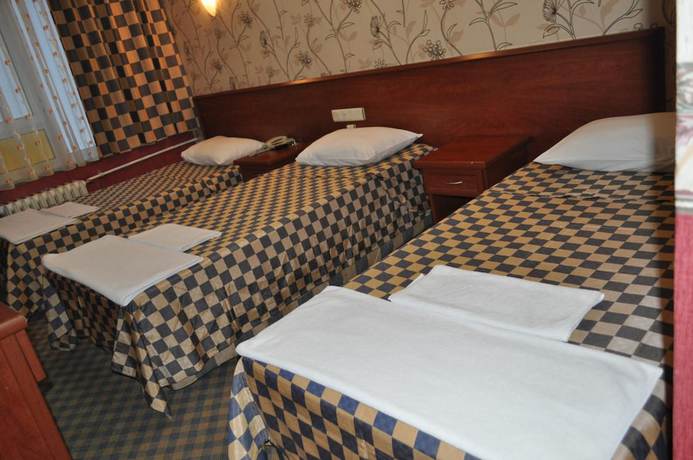 Imagen de la habitación del Saray Hotel, Edirne. Foto 3