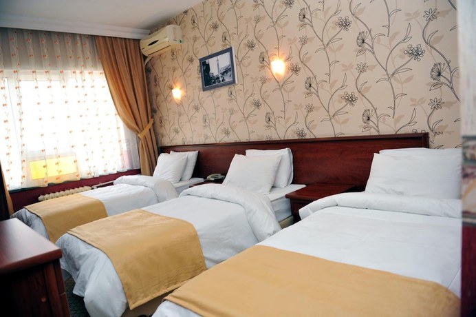 Imagen de la habitación del Saray Hotel, Edirne. Foto 9