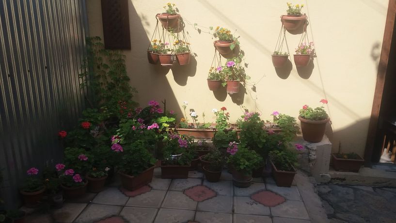 Imagen de los exteriores del Sari Konak Otel. Foto 15