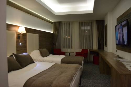 Imagen de la habitación del Sarikamis Habitat Hotel. Foto 1