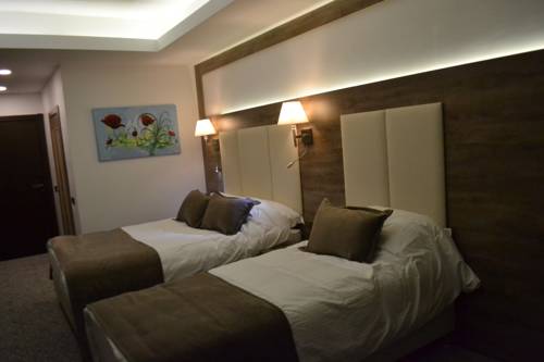 Imagen de la habitación del Sarikamis Habitat Hotel. Foto 3