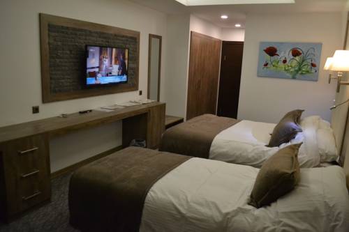 Imagen de la habitación del Sarikamis Habitat Hotel. Foto 4