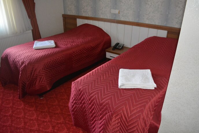 Imagen general del Sarikamis Kar Otel. Foto 3