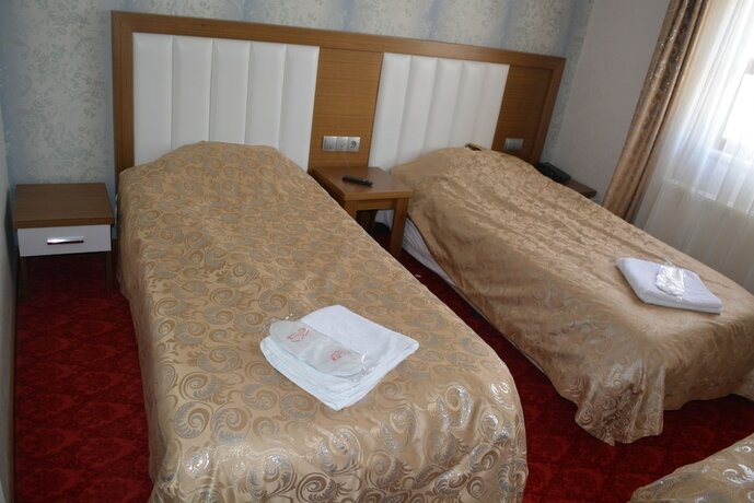 Imagen general del Sarikamis Kar Otel. Foto 5