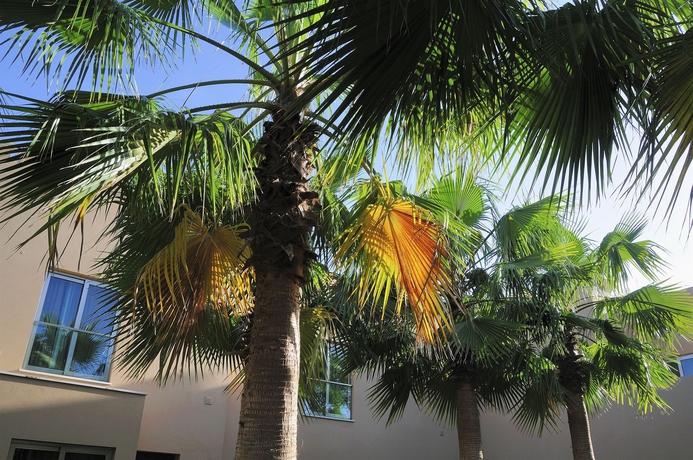 Imagen de los exteriores del São Rafael Holidays. Foto 15