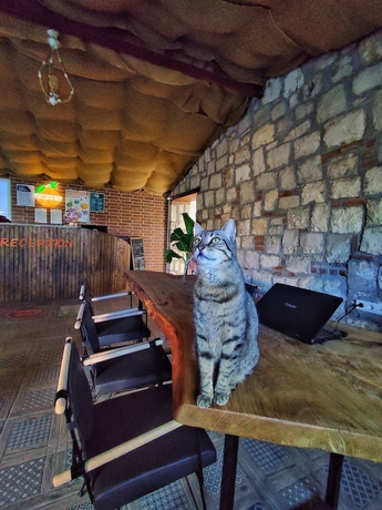 Imagen de los interiores del Satsuma Butik Otel. Foto 16