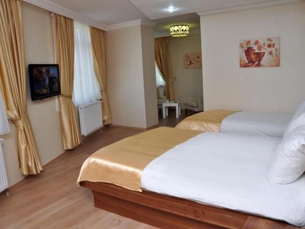 Imagen de la habitación del Savis Otel. Foto 7