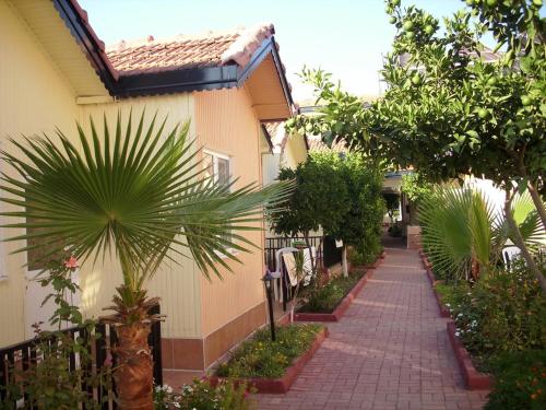 Imagen general del Sayanora Hotels Side. Foto 16