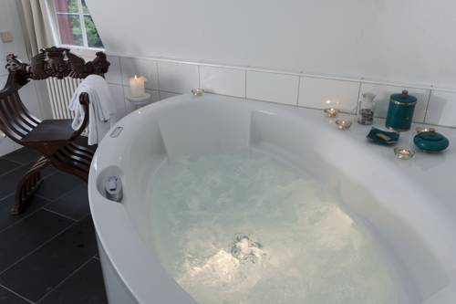 Imagen de la habitación del Schloss Münchenwiler. Foto 5