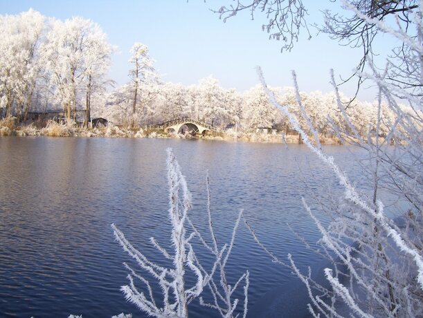 Imagen general del Schloss Zehdenick. Foto 7