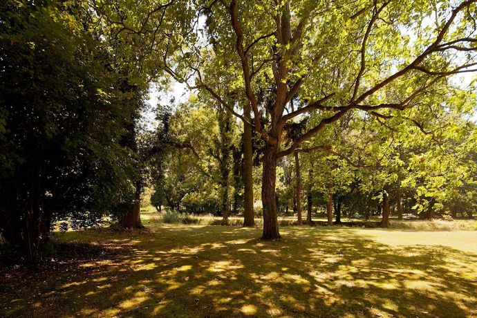 Imagen de los exteriores del Schlosshotel Ziethen. Foto 9