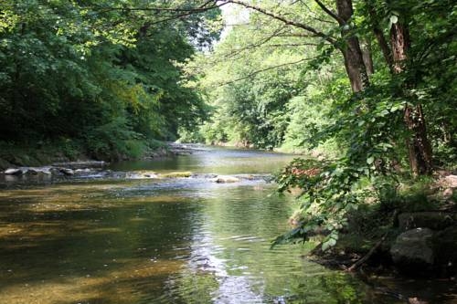 Imagen general del Schwarz Wienerwald Appartements. Foto 10