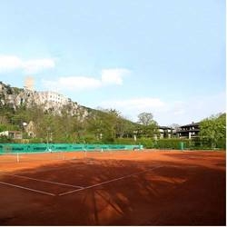 Imagen general del Schwarz Wienerwald Appartements. Foto 16