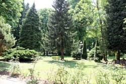 Imagen general del Schwarz Wienerwald Appartements. Foto 18