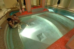 Imagen general del Schweizer Hof, Bad F&uuml;ssing. Foto 8