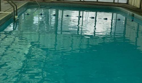 Imagen general del Scott Shady Court Motel. Foto 6