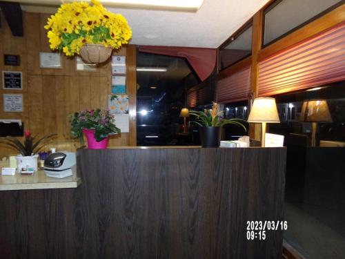 Imagen general del Scott Shady Court Motel. Foto 8