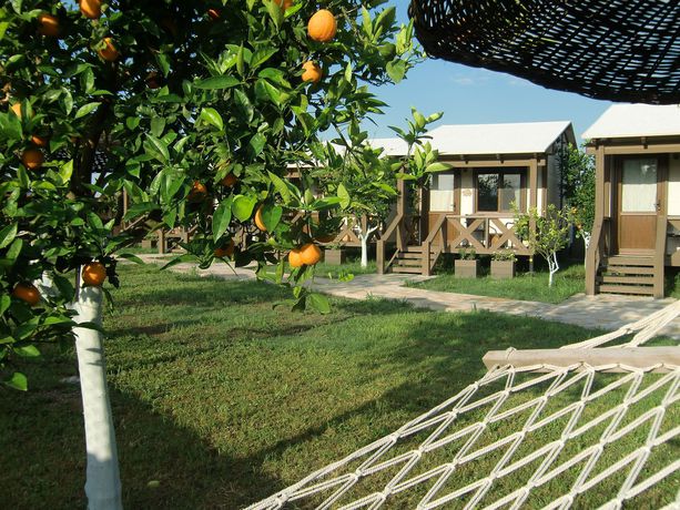 Imagen de los exteriores del Sedir Resort - Hotel Rooms, Bungalows and Suites. Foto 13