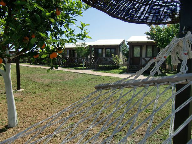 Imagen general del Sedir Resort - Hotel Rooms, Bungalows and Suites. Foto 5