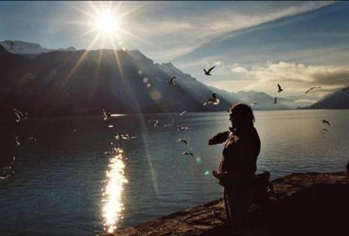 Imagen general del Seehotel Sternen, Brienz. Foto 2