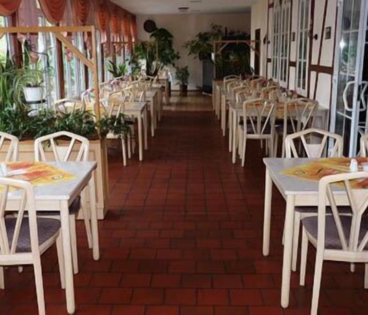 Imagen del bar/restaurante del Seehotel and Restaurant Karlslust. Foto 7