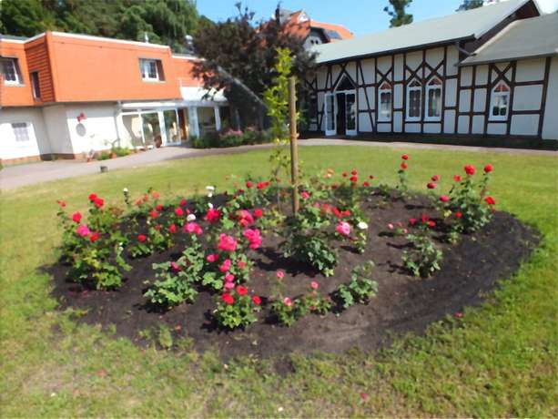 Imagen de los exteriores del Seehotel and Restaurant Karlslust. Foto 13