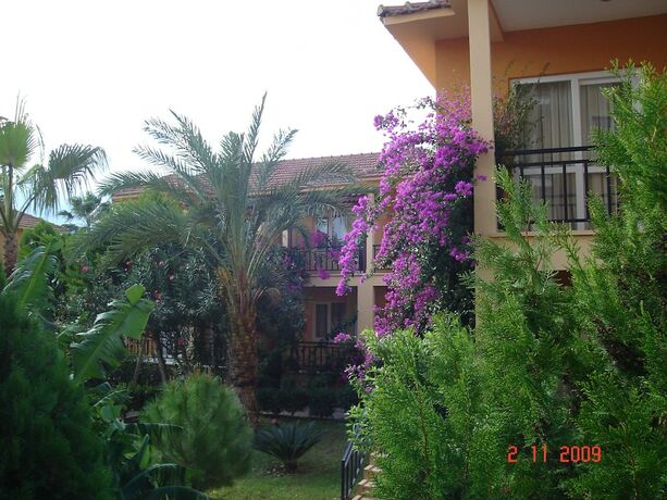 Imagen general del Seker Resort Hotel. Foto 6