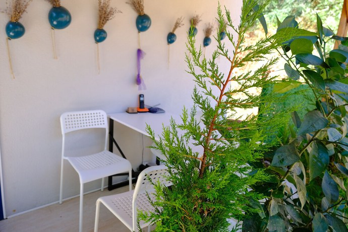 Imagen de los interiores del Selimiye11oda. Foto 20
