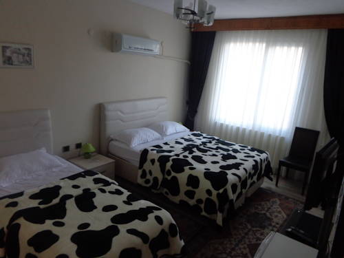 Imagen de la habitación del Serapion Hotel. Foto 5