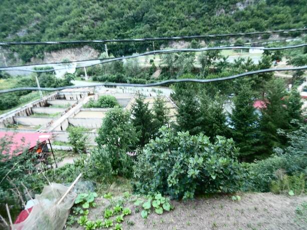 Imagen general del Seremet Dinlenme Tesisi. Foto 10