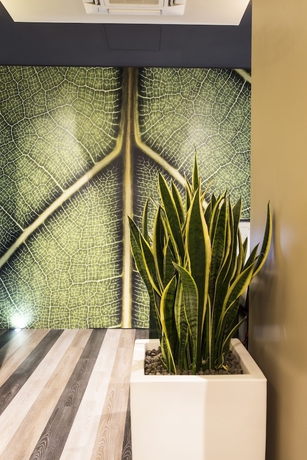 Imagen de los interiores del Serendipity Rooms. Foto 17