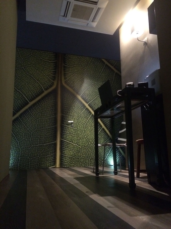 Imagen de los interiores del Serendipity Rooms. Foto 18