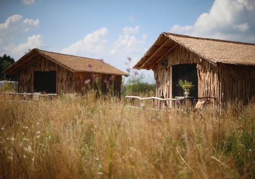 Imagen general del Serengeti Park Resort. Foto 4