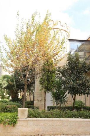 Imagen de la habitación del Sergei Palace Hotel. Foto 6