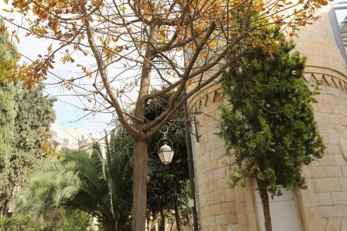 Imagen de la habitación del Sergei Palace Hotel. Foto 8