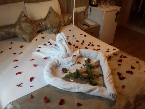 Imagen de la habitación del Serra Boutique Hotel, Estambul. Foto 14