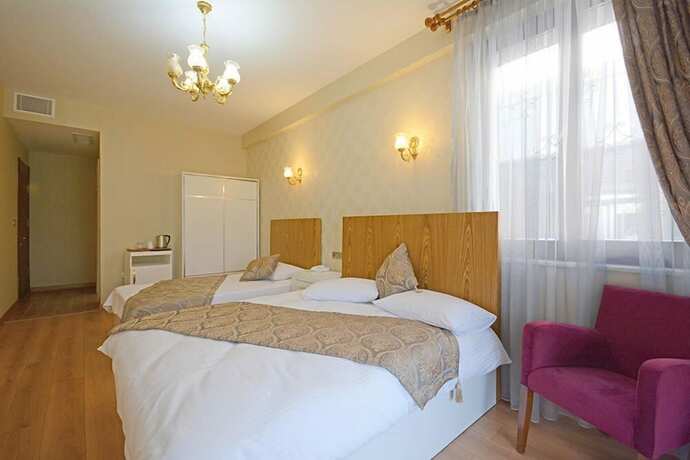 Imagen de la habitación del Setenonu 1892 Butik Otel. Foto 19