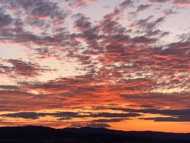 Imagen de la habitación del Setter House Agri Hotel. Foto 16