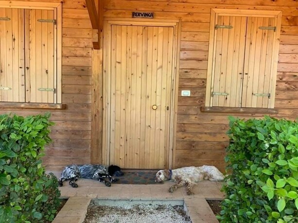 Imagen de la habitación del Setter House Agri Hotel. Foto 19