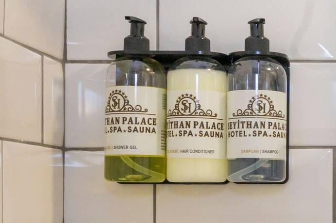 Imagen de la habitación del Seyithan Palace Spa Hotel. Foto 18