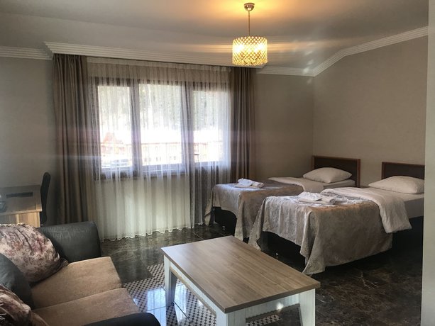 Imagen de la habitación del Sezgin Hotel, Uzung&ouml;l. Foto 8