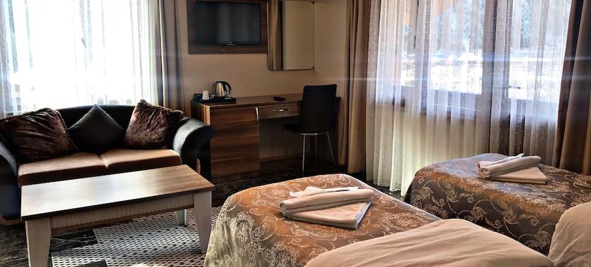 Imagen de la habitación del Sezgin Hotel, Uzung&ouml;l. Foto 14