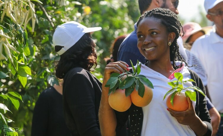 Imagen general del Shaar Hagolan Kibbutz Country Lodging. Foto 7
