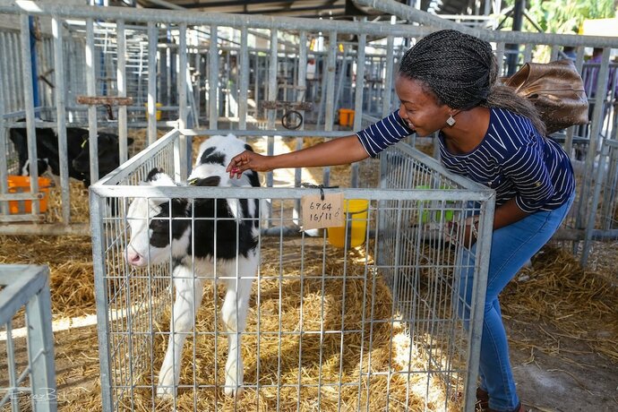 Imagen general del Shaar Hagolan Kibbutz Country Lodging. Foto 9