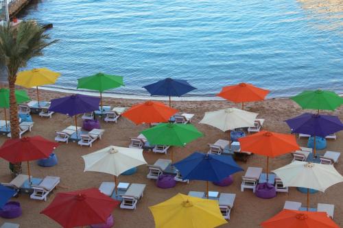 Imagen de la habitación del Shellghada Blue Beach. Foto 18