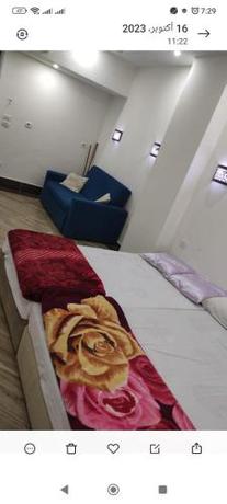 Imagen de la habitación del Sheraton plaza osama. Foto 19