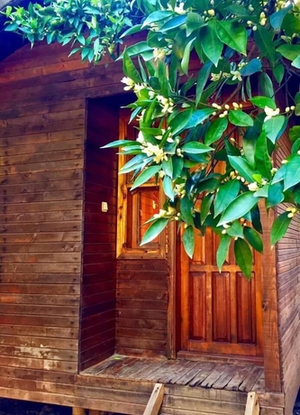 Imagen de la habitación del Sheriff, Kumluca. Foto 5